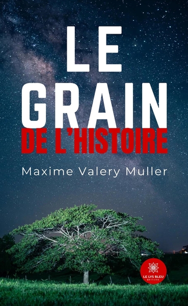 Picture of Le grain de l'histoire