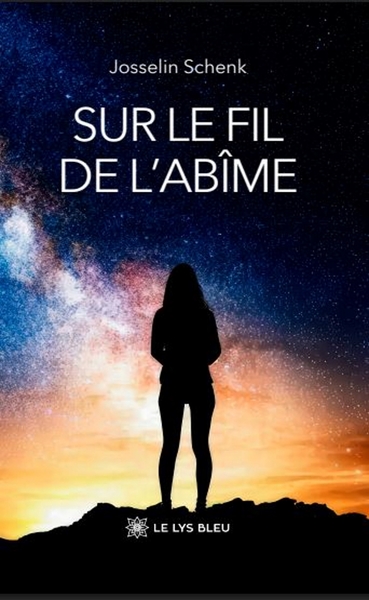 Image de Sur le fil de l'abîme