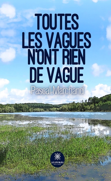 Picture of Toutes les vagues n'ont rien de vague