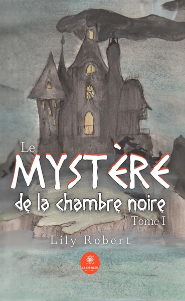 Picture of Le mystère de la chambre noire