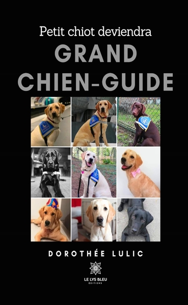 Image de Petit chiot deviendra grand chien-guide