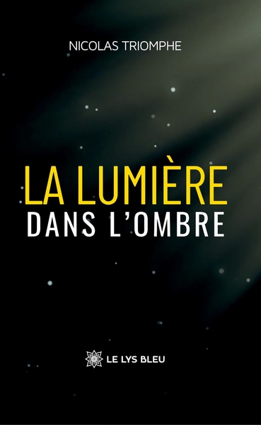 Picture of La lumière dans l'ombre