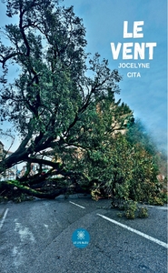 Image de Le vent