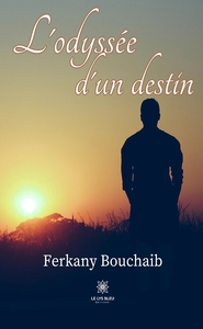 Picture of L'odyssée d'un destin