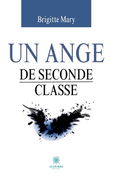 Image de Un ange de seconde classe
