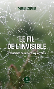 Image de Le fil de l'invisible
