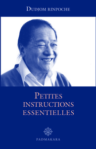 Image de PETITES INSTRUCTIONS ESSENTIELLES