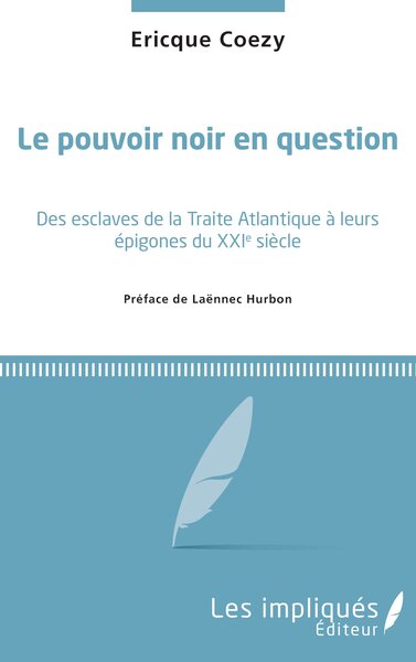 Image de Le pouvoir noir en question