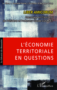 Image de L'économie territoriale en questions