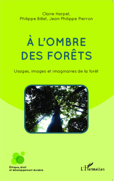 Picture of A l'ombre des forêts