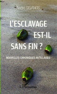Image de L'esclavage est-il sans fin ?