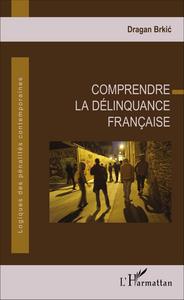 Picture of Comprendre la délinquance française