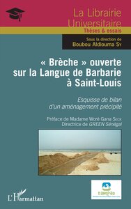 Picture of "Brèche" ouverte sur la Langue de Barbarie à Saint-Louis