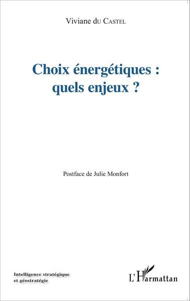Image de Choix énergétiques : quels enjeux?