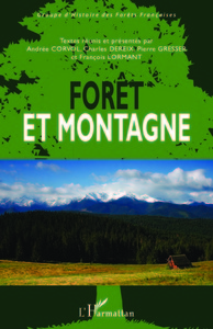 Picture of Forêt et montagne