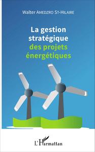 Picture of La gestion stratégique des projets énergétiques