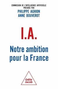 Image de IA : Notre ambition pour la France