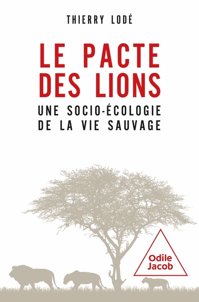 Image de Le pacte des lions