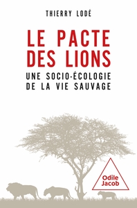 Image de Le pacte des lions