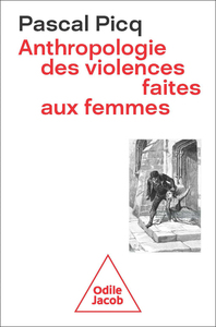 Image de Anthropologie des violences faites aux femmes au XXIe siècle