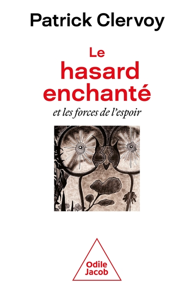 Picture of Le Hasard enchanté