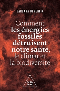 Picture of Comment les énergies fossiles détruisent notre santé, le climat et la biodiversité
