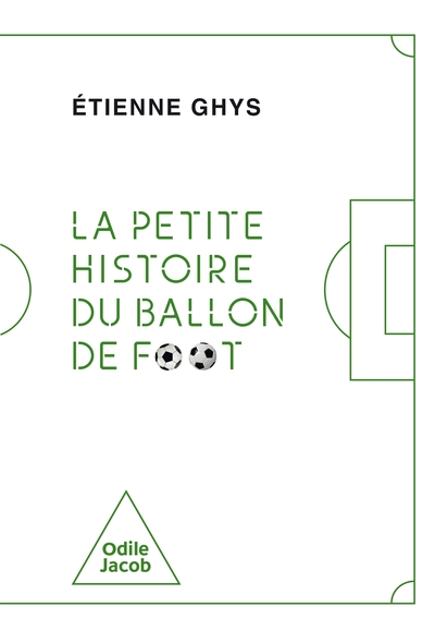 Image de La petite histoire du ballon de foot