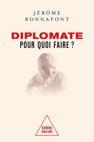 Picture of Diplomate, pour quoi faire ?