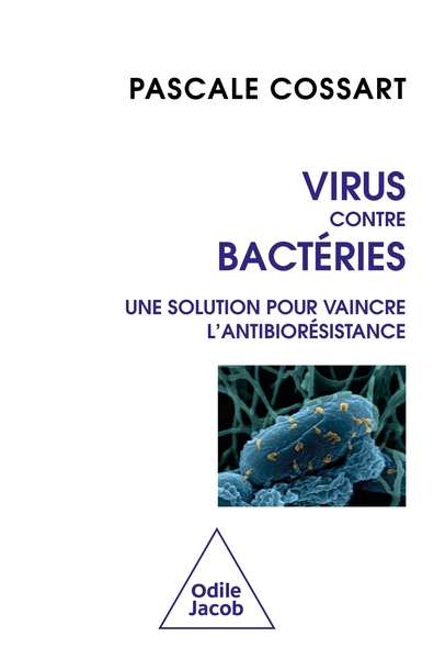 Image de Virus contre bactéries