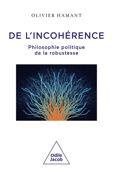 Image de De l'incohérence