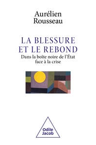 Picture of La Blessure et le Rebond