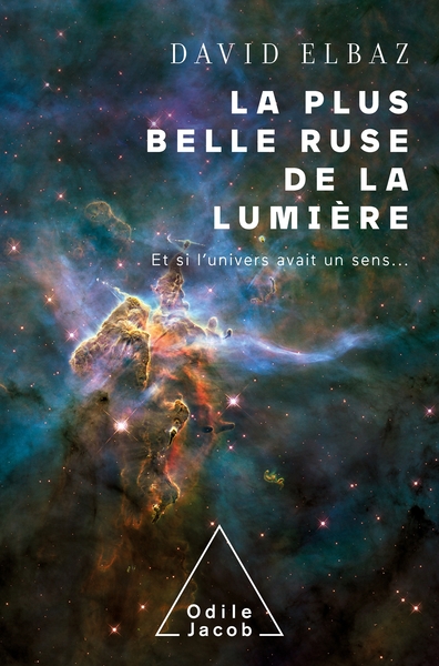 Picture of La plus belle ruse de la lumière