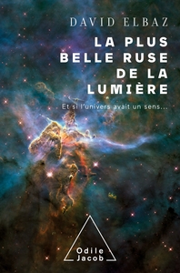 Picture of La plus belle ruse de la lumière