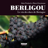 Picture of Berligou
