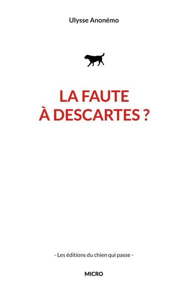 Image de La faute à descartes ?