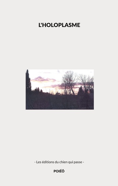 Picture of L'holoplasme