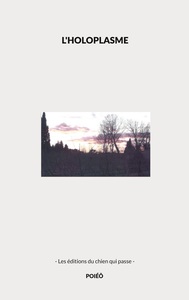 Picture of L'holoplasme