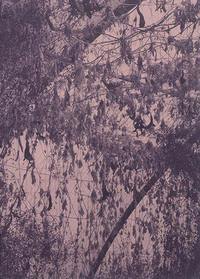 Image de Les climats