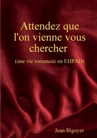 Picture of Attendez que l'on vienne vous chercher !