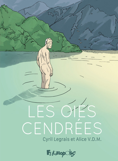 Picture of Les oies cendrées