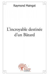 Image de L’incroyable destinée d’un bâtard