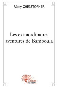 Image de Les extraordinaires aventures de bamboula