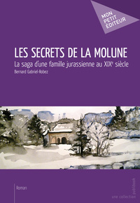Image de LES SECRETS DE LA MOLUNE
