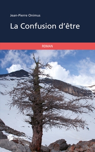 Picture of La Confusion d'être