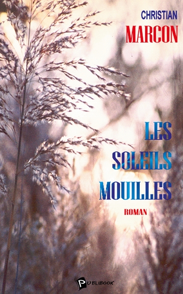 Image de Les Soleils mouillés