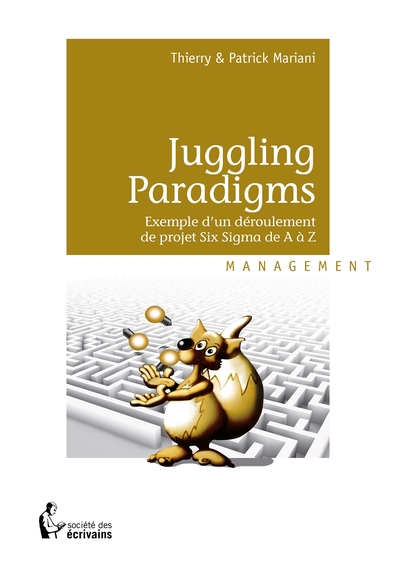 Picture of Juggling Paradigms