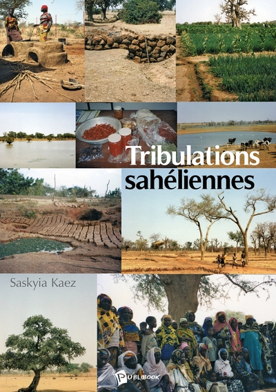 Image de Tribulations sahéliennes