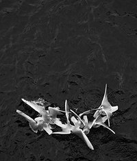 Image de Loredana Nemes LoveFearGreed /anglais