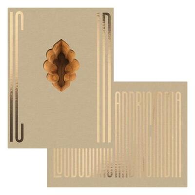 Image de Ljubodrag Andric India /anglais