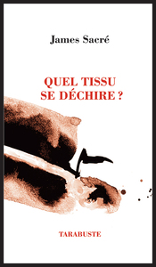 Picture of QUEL TISSU SE DECHIRE ? - James Sacré